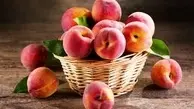 چگونه هلو به میوه‌ی پارسی شناخته شد؟ | سیب پارسی در زبان‌های مختلف اروپایی