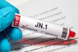  زیرسویه JN1، سویه جدید کرونا محسوب نمی‌شود