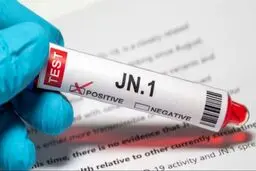  زیرسویه JN1، سویه جدید کرونا محسوب نمی‌شود