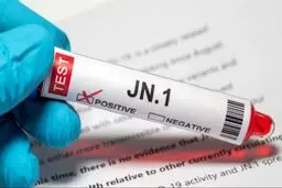  زیرسویه JN1، سویه جدید کرونا محسوب نمی‌شود