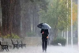 رگبار و وزش باد شدید در نقاط مختلف کشور | هشدار جدی هواشناسی برای این مناطق 