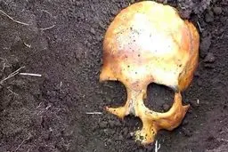 پس از ۲۷۹ سال از جمجمه‌ی نادرشاه افشار رونمایی شد! | جمجمه‌ای که سر از خاک درآورد!+تصویر 