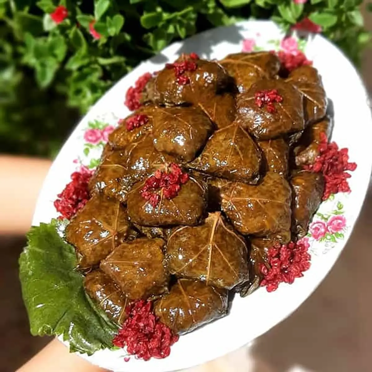 دلمه برگ مو به روش تبریزی ها درست کن | خیلی ساده و خوشمزه