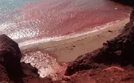 ساحل سرخ در دنیای رنگ های هرمزگان