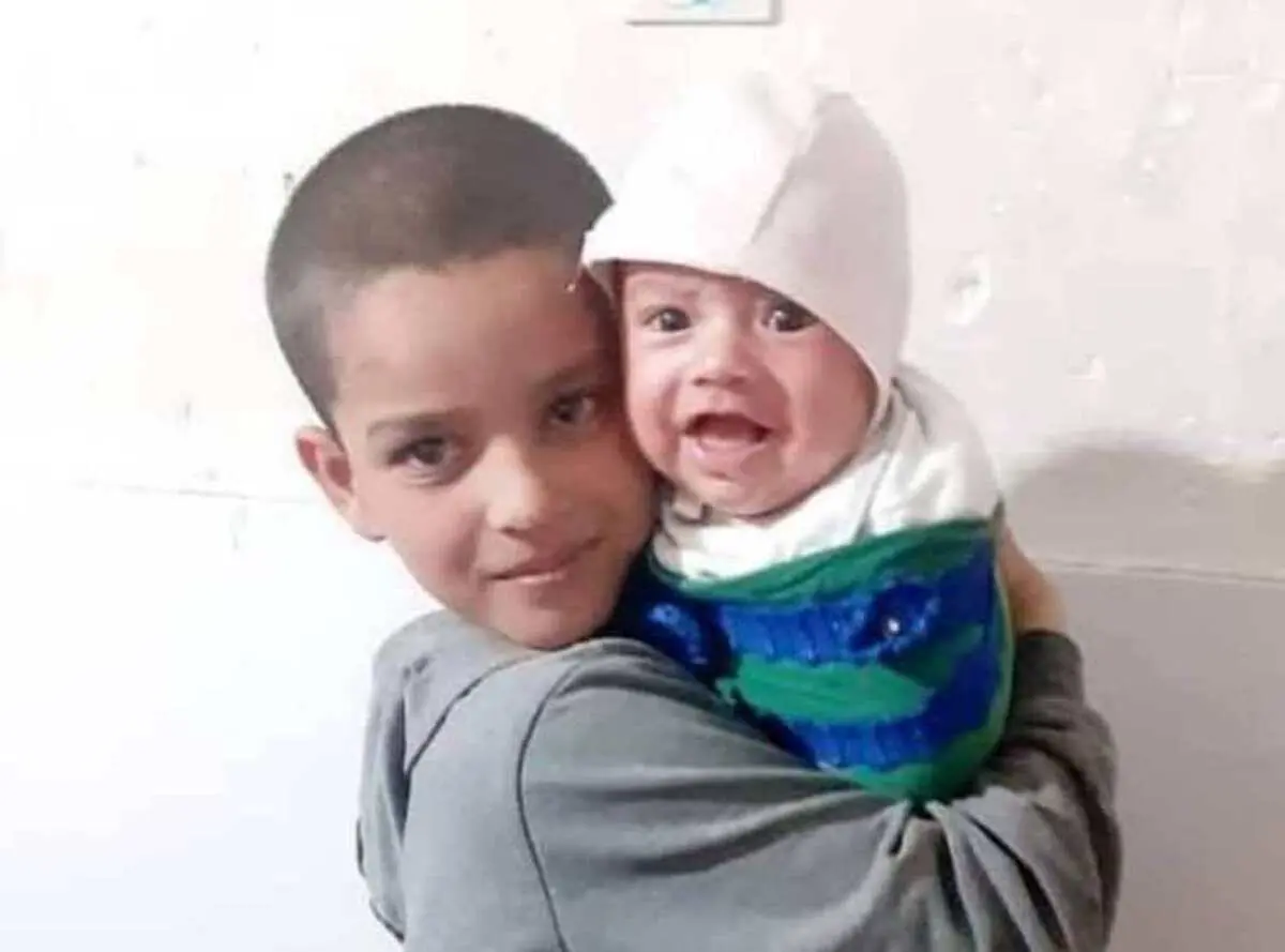 واکنش شهردار میبد به حمله سگ‌ها به کودک ۸ ساله 