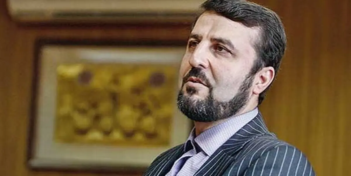 عربستان و امارات از ایجاد انحراف در مسیر کارکرد آژانس و دولت های عضو آن دست بردارند
