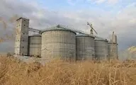 فرو ریختن سیلوی گندم در حمیدیه | هزاران تن گندم در حال فساد +ویدئو