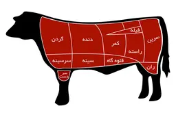 قیمت گوشت گوساله | پشت پرده افزایش 2 برابری قیمت ها 