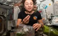 کشاورزی در ایستگاه فضایی بین‌المللی