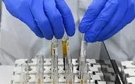 سازمان بهداشت جهانی نشت ویروس کرونا از ووهان را منتفی دانست