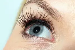 افراد مسن بیشتر مراقب حس بینایی خود باشند