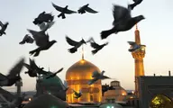 علمای مشهد:در شرایط فعلی تشرف به حرم رضوی ضرورت ندارد