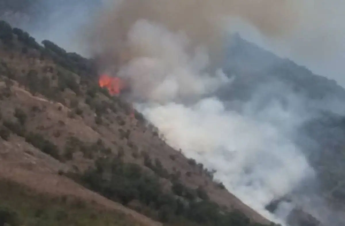 
 آتش سوزی در جنگل‌های گالیکش گلستان 