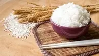 قیمت برنج شمال چند؟ | کاهش 10 تا 20 هزار تومانی قیمت برنج طارم