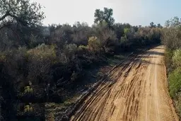 نابود کردن ۲ هزار درخت پارک ملی کرخه برای جلوگیری از وقوع سیل!